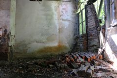 IMG_8155