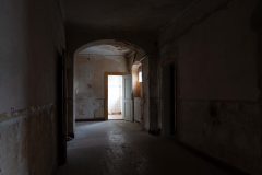 IMG_0081
