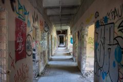 IMG_4494