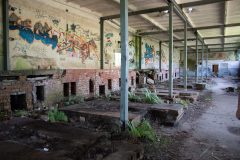 IMG_4501