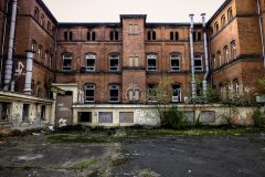 backyard_by_easternexploration_ddqpeym