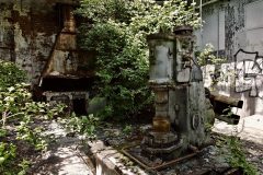 overgrown_by_easternexploration_dboqoc71