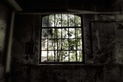 window_by_easternexploration_dbg9x921