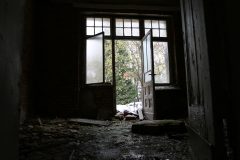 IMG_0253