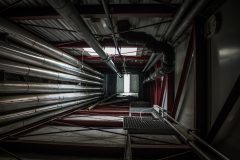 IMG_4574