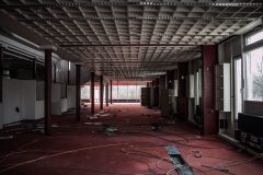 IMG_4594