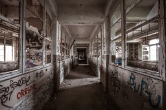 IMG_9994