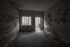 IMG_8541