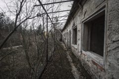 IMG_8544