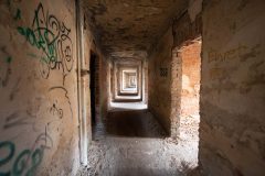 IMG_8526