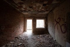 IMG_8530