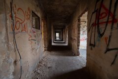IMG_8532