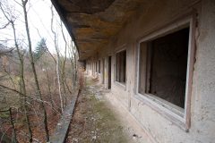 IMG_8533