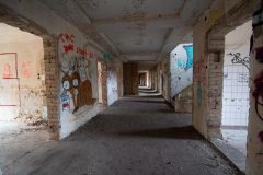IMG_8536