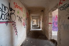IMG_8539