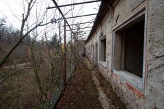 IMG_8544