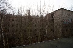 IMG_8553