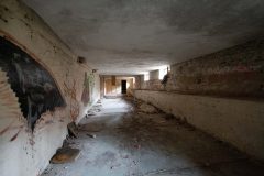 IMG_8559