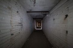 IMG_8561