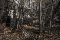 IMG_8087