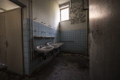 IMG_8166