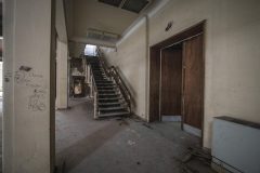 IMG_8235