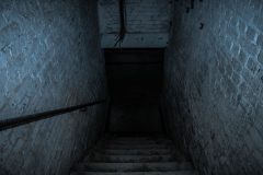 11-347