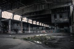 IMG_3903