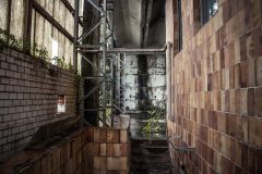 IMG_3930