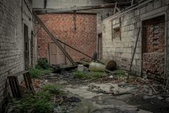 IMG_3216