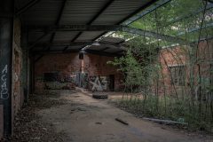 IMG_3196