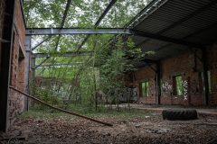 IMG_3199