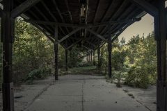 IMG_3981