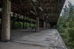 IMG_3983