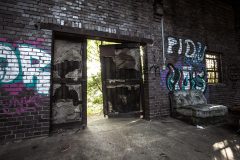 IMG_1351