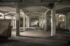 IMG_6087