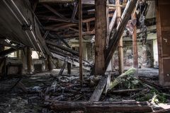 IMG_4637