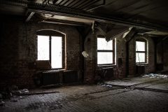IMG_4650