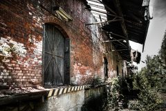 IMG_4659