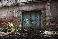 IMG_4663