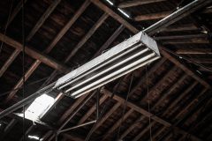 IMG_4706