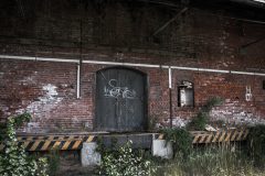 IMG_4712