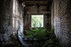IMG_4720