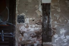 IMG_4644