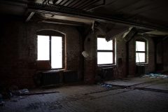 IMG_4650