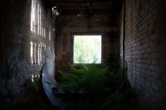 IMG_4720