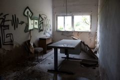 IMG_3487