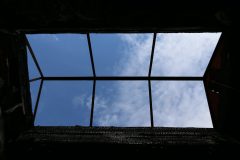 IMG_5126