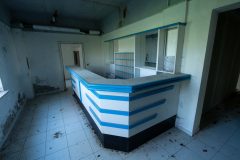 IMG_1296