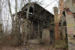 IMG_6558